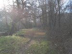 2012-02-16 17.11.36.jpg