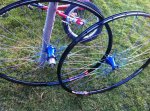 IMG-20120118-WA0001.jpg