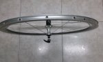 2012-01-31 19.41.38.jpg
