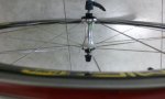 2012-02-17 17.28.49.jpg