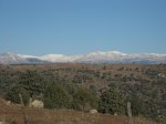 IMG_3510.JPG