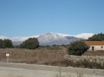 IMG_3517.JPG