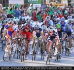 alg12st01-win.jpg