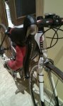 IMG-20120217-WA0002.jpg