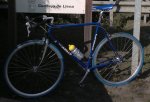 pinarello.jpg