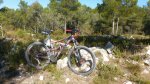 P1010754_800x450.jpg