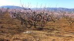 bicis en flor_800x450.jpg