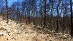 P1010734_800x450.jpg