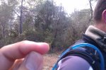 IMAG0424.jpg
