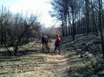 18022012713.jpg