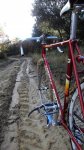 DSC01304.JPG