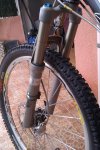 IMAG0085.jpg