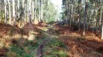 DSC_0370.JPG