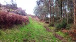 DSC_0351.JPG