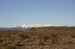 IMG_5995.JPG