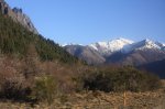 IMG_6004.JPG