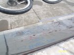 SV101308.JPG
