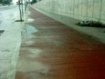 DSC00243.JPG