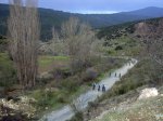 DSCN1611.jpg
