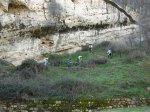 DSCN1650.jpg