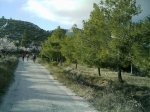 Redimensionamiento de IMAG0102.JPG
