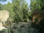 Imag0048.jpg