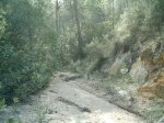Imag0050.jpg