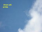 14 Avion alli arriba.jpg