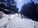 Camino02.jpg