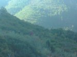 Foto0155.jpg