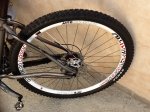 NINER8.jpg
