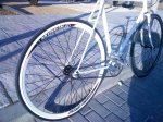 IMG_20120218_174024.jpg