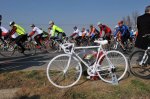 Bici blanca.jpg