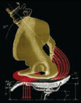 01prova.gif