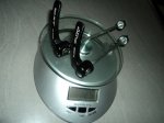 DSC01187.jpg