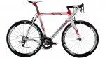 dogma_2_team_replica-zoom2 (1).jpg