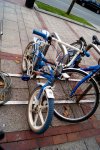 DSC04560.JPG