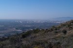 IMAG0042.jpg