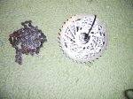 DSCN0772.JPG