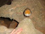 DSC03310.JPG