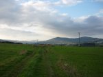 P1040565 (Copiar).JPG
