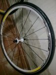 29012012240 (Copiar).jpg