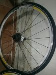 29012012238 (Copiar).jpg