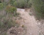 Foto0606.jpg