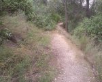 Foto0610.jpg