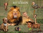 El_rey_borbon.jpg