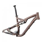 16170_SPECIALIZED_sj_fsr_pro2010_frameset.jpg