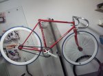 IMG-20120216-WA0000.jpg