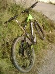 IMG_20110130_130541.jpg