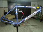 DSCF2449.JPG